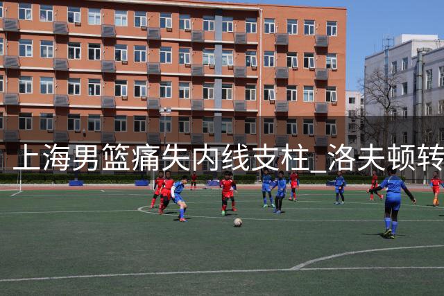 上海男篮痛失内线支柱 洛夫顿转战以色列联赛内幕揭秘