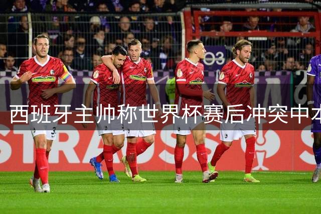 西班牙主帅称世界杯赛后冲突中本队球员无辜受害